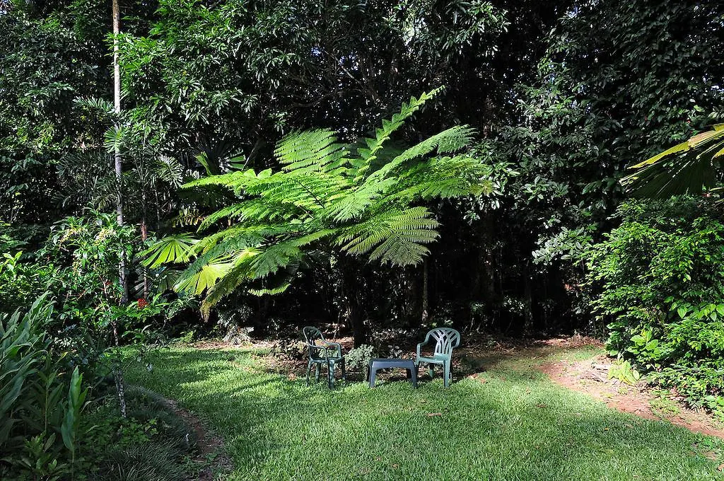 Cow Bay Homestay B&B 3*, Cow Bay Austrálie